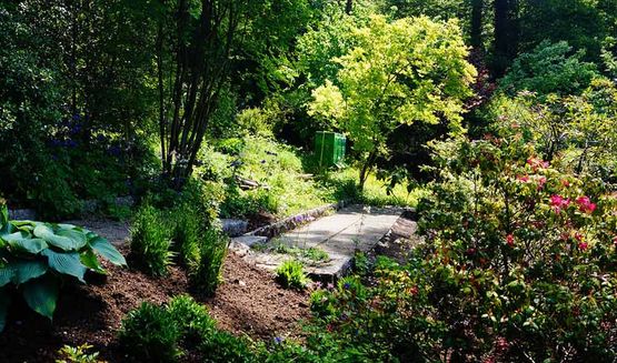Naturgarten